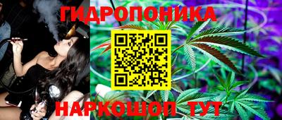 мдпв Кимры