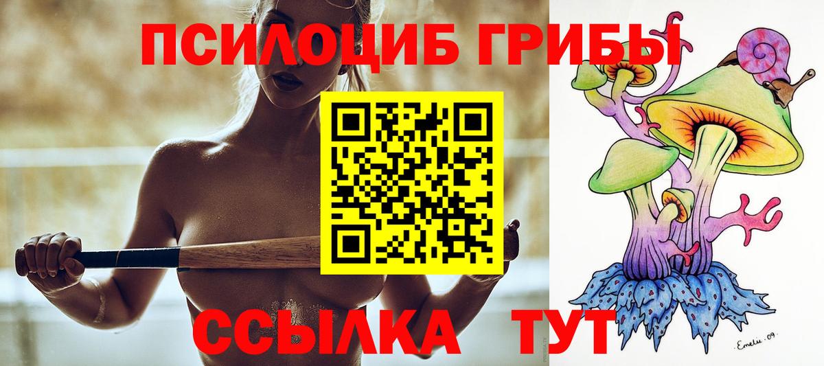 Меф МЯУ МЯУ   Королёв  Каннабис  Вход с VPN  Марихуана  Гашиш  МДМА  Cocaine  Alpha-PVP СК  