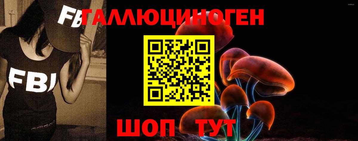Галлюциногенные грибы Psilocybine cubensis  Вход с VPN  Королёв 