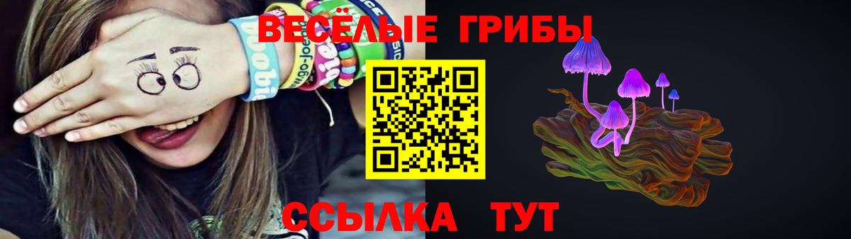 Галлюциногенные грибы MAGIC MUSHROOMS Королёв